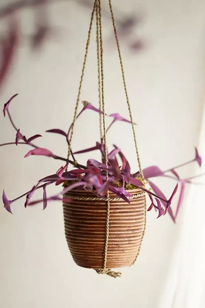 TERRAIN HANGING RATTAN STRIPE BASKET PLANTER