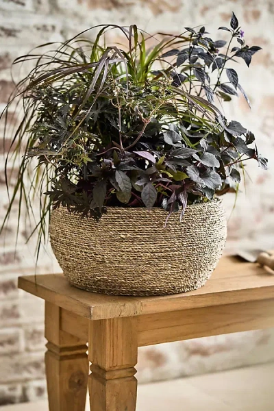 TERRAIN WOVEN SEAGRASS + FIBER TAPER BOWL PLANTER