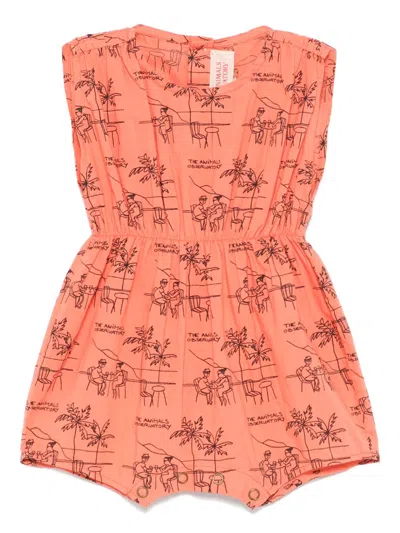 THE ANIMALS OBSERVATORY BOAR SHORTIES