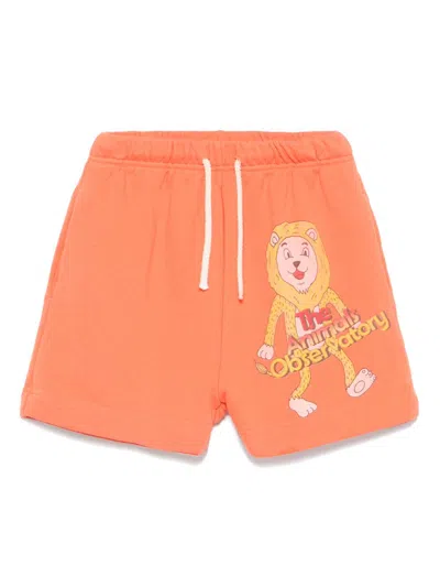 THE ANIMALS OBSERVATORY HEDHEGOG SHORTS