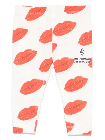 THE ANIMALS OBSERVATORY PENGUIN LEGGINGS