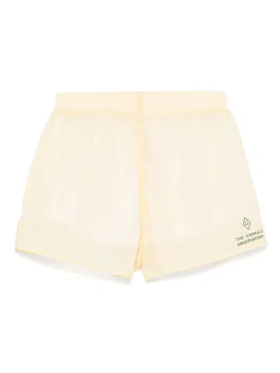 THE ANIMALS OBSERVATORY SPIDER SHORTS