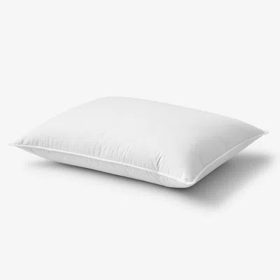 THE COMPANY STORE DOWN & FEATHER CHAMBER PILLOW