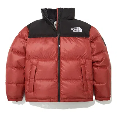 THE NORTH FACE THE NORTH FACE FW22 Novelty Nuptse Down Jacket