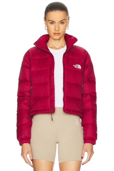 THE NORTH FACE HYDRENALITE DOWN SHORT JACKET
