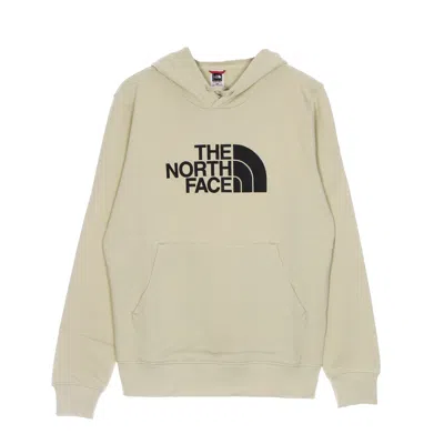 THE NORTH FACE LT DREW PEAK PO HD GRAVEL MEN'S LIGHTWEIGHT HOODED SWEATSHIRT