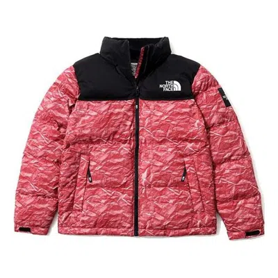 THE NORTH FACE THE NORTH FACE Novelty Nuptse