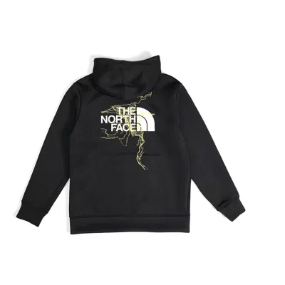 THE NORTH FACE THE NORTH FACE Pullover Hoodie 'Black'
