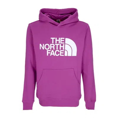 THE NORTH FACE STANDARD MEN'S HOODIE PURPLE CACTUS FLOWER