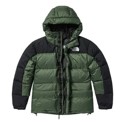 THE NORTH FACE THE NORTH FACE Winter Puffer Jacket 'Olivegreen'