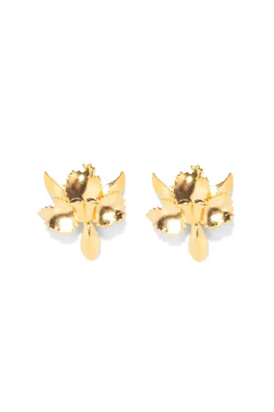 THE PINK REEF WOMEN'S THE PINK REEF TINY GOLDEN ORCHID EARRING