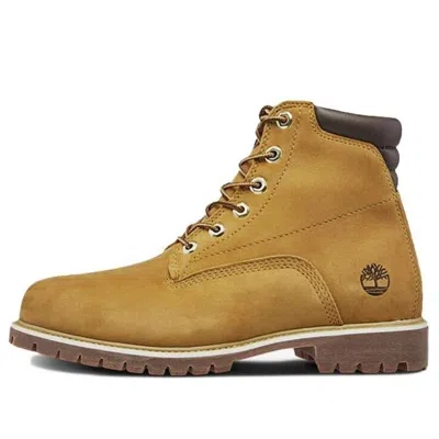 TIMBERLAND Timberland 6 Inch Basic Alburn Waterproof Boots 'Wheat'
