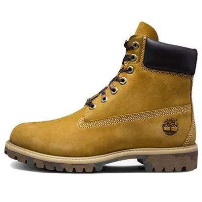 TIMBERLAND Timberland 6 Inch Premium Waterproof Boot 'Wheat'