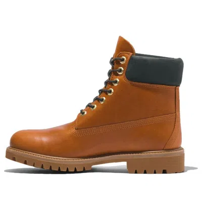 TIMBERLAND Timberland Premium 6 Inch Waterproof Boot 'Brown'