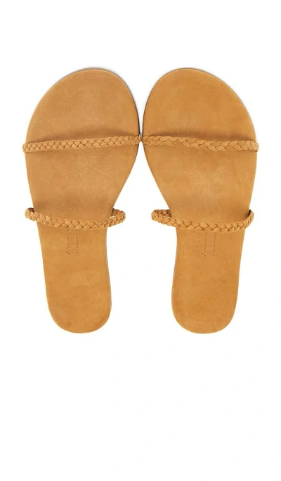 TKEES GEMMA BRAID SANDAL
