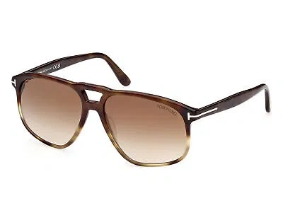 TOM FORD TOM FORD FT1000-56F-58 HAVANA SUNGLASSES