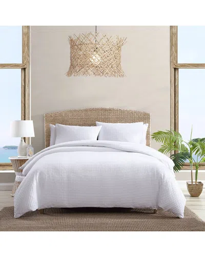 TOMMY BAHAMA TOMMY BAHAMA SOLID COTTON COMFORTER BEDDING SET