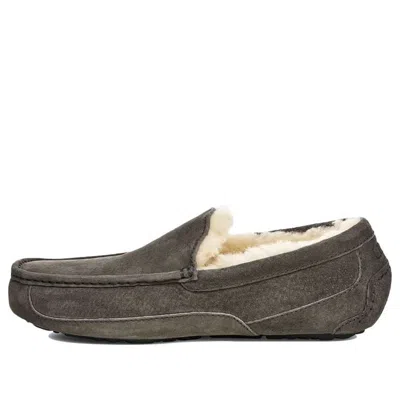 UGG UGG Ascot Slipper Cozy Fleece Lined Athleisure Casual Sports Shoe Gray