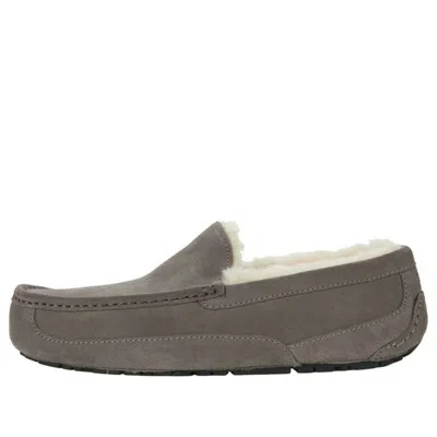 UGG UGG Ascot Slipper 'Grey'
