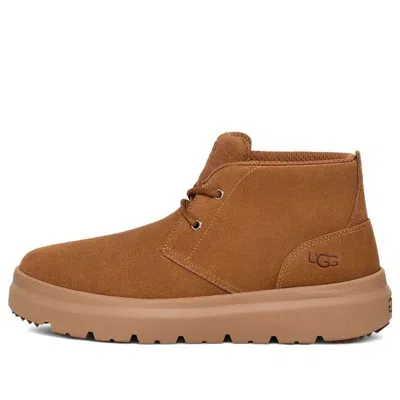 UGG UGG Burleigh Chukka Boot 'Chestnut'