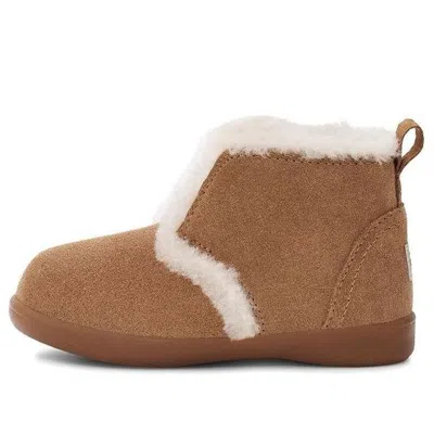 UGG UGG TODDLERS DADEN SHOE CHESTNUT