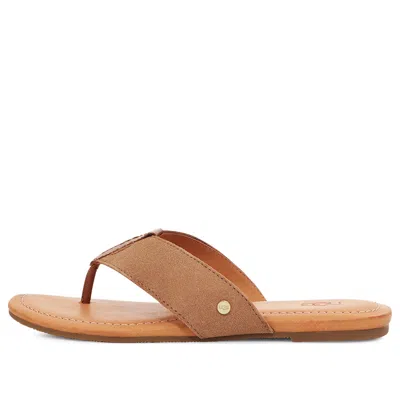 UGG (WMNS) UGG Carey Thongs 'Chestnut'