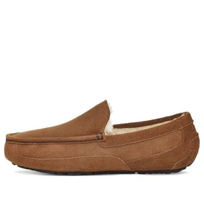 UGG (WMNS) UGG Casual Low Slippers 'Brown'