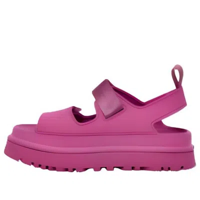 UGG (WMNS) UGG Goldenglow 'Mangosteen'