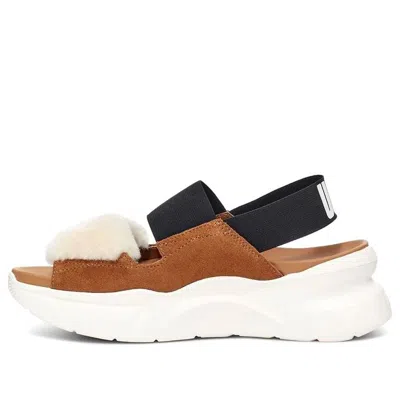 UGG (WMNS) UGG other Sports sandals 'Chestnut Brown Black White'
