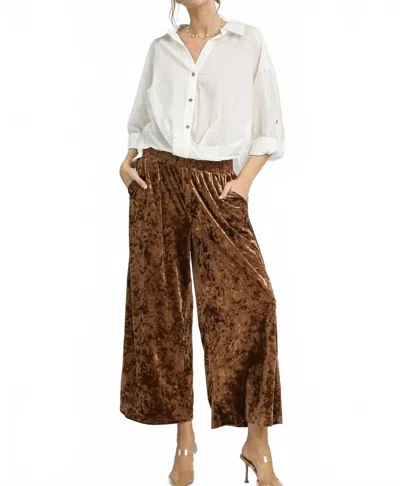 UMGEE SOLID COLOR VELVET PANTS IN BROWN