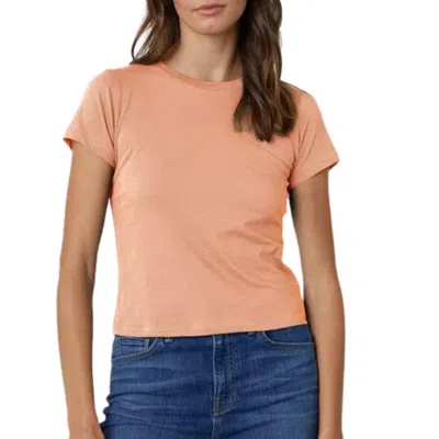 VELVET BY GRAHAM & SPENCER NINA CROPPED CREW NECK TEE IN FLARE