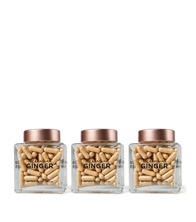 WAKAYA PERFECTION NICARAGUAN GINGER BUNDLE