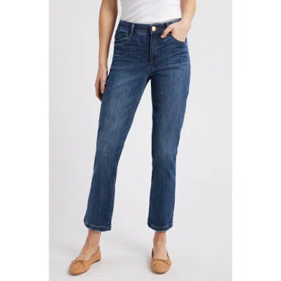 WIT & WISDOM WIT & WISDOM LOGAN 'AB'SOLUTION HIGH WAIST ANKLE SLIM STRAIGHT LEG JEANS