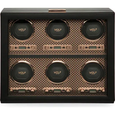 WOLF WOLF AXIS 6 PIECE WATCH WINDER