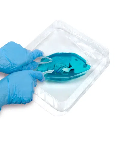 WORLD TECH TOYS AMAZING CREATURES SYNTHETIC DISSECTION KIT