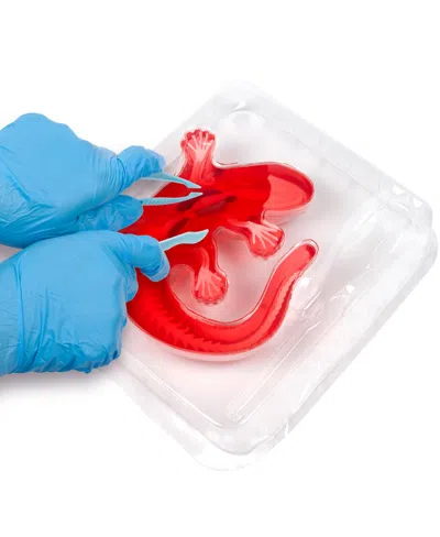 WORLD TECH TOYS AMAZING CREATURES SYNTHETIC DISSECTION KIT