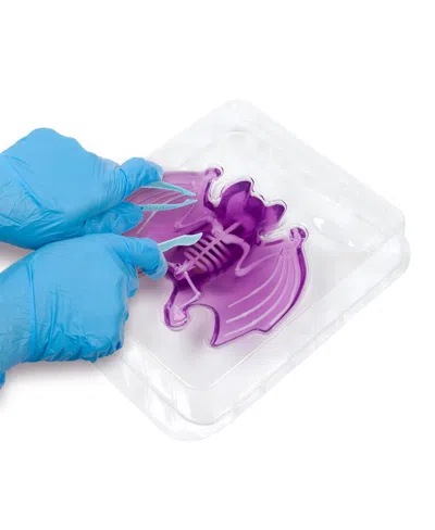 WORLD TECH TOYS AMAZING CREATURES SYNTHETIC DISSECTION KIT