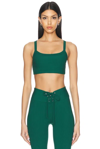 YEAR OF OURS RIBBED SPORTS BRA