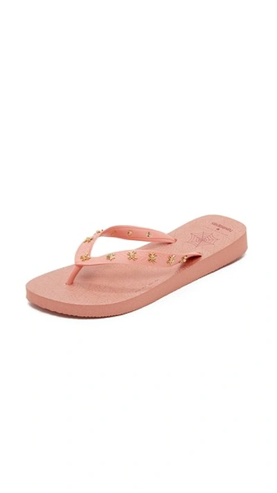 CHARLOTTE OLYMPIA Charlottes Web Havaianas Flip Flops