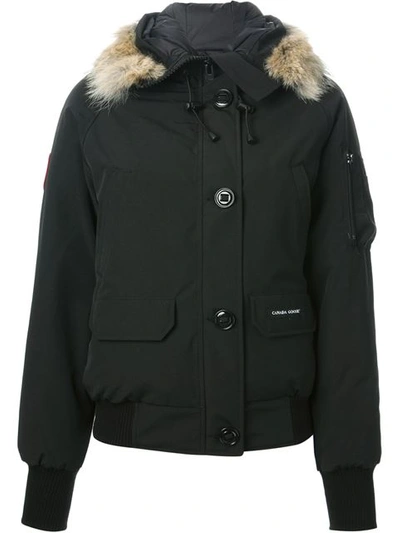 CANADA GOOSE 'Chilliwack' bomber