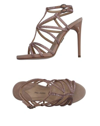 PAUL ANDREW PAUL ANDREW