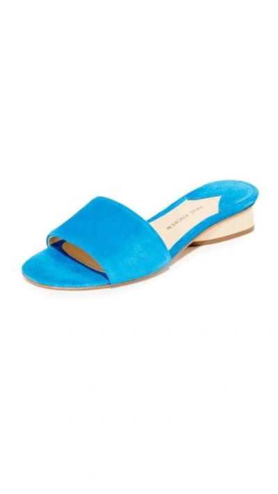 PAUL ANDREW Lina Slides