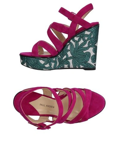 PAUL ANDREW PAUL ANDREW