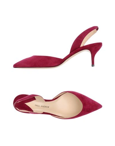 PAUL ANDREW PAUL ANDREW